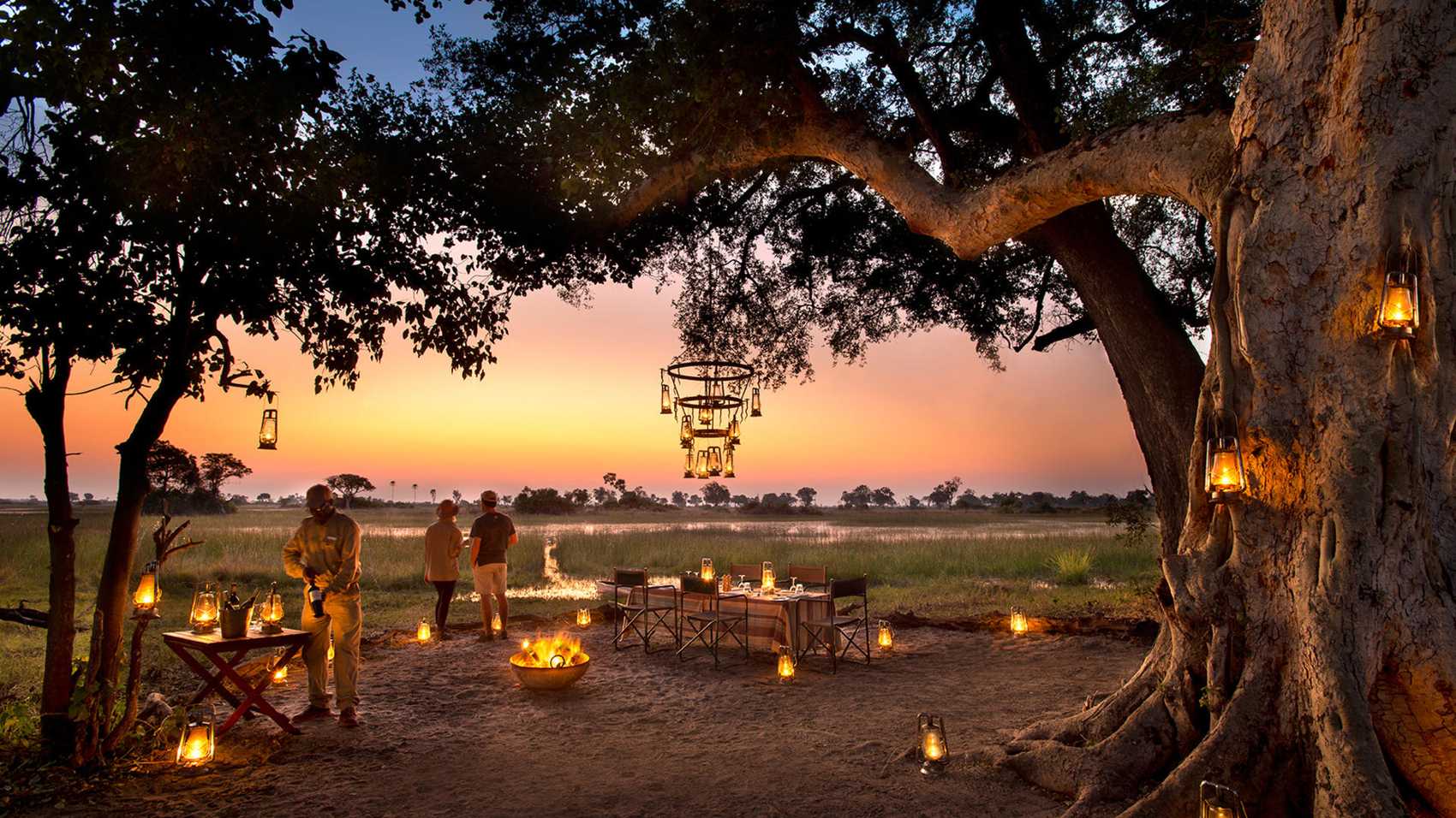 Private dinner beneath a tree in the Okavango Delta