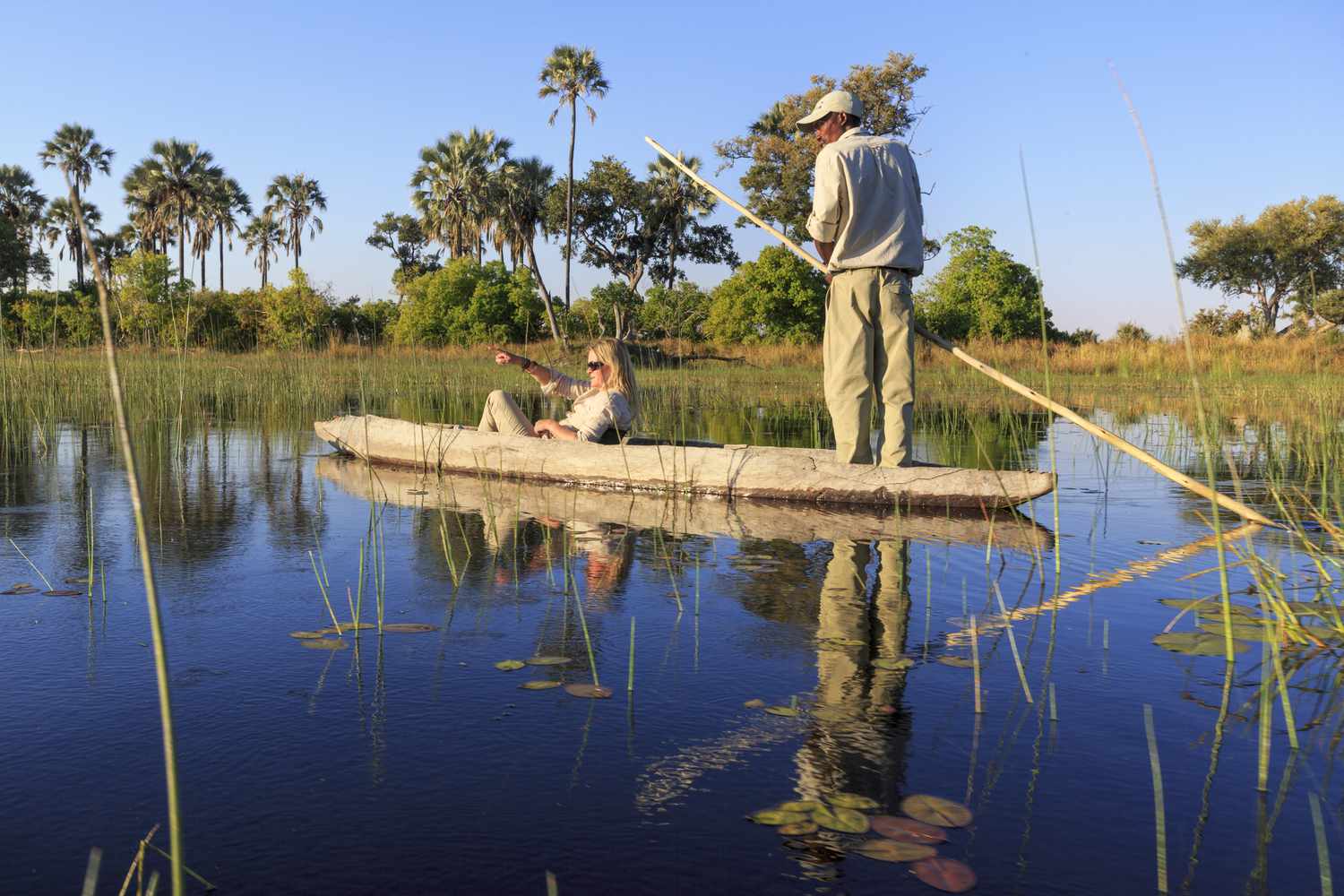 Mokoro journey through the Okavango Delta