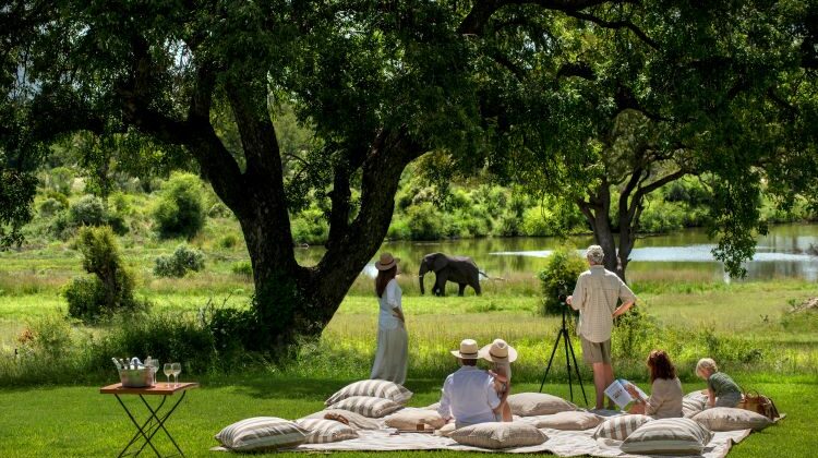 Private safari picnic overlooking wildlife