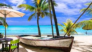 Tropical beach